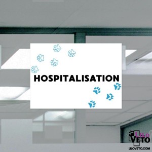 PANNEAU HOSPITALISATION TRACE CYAN